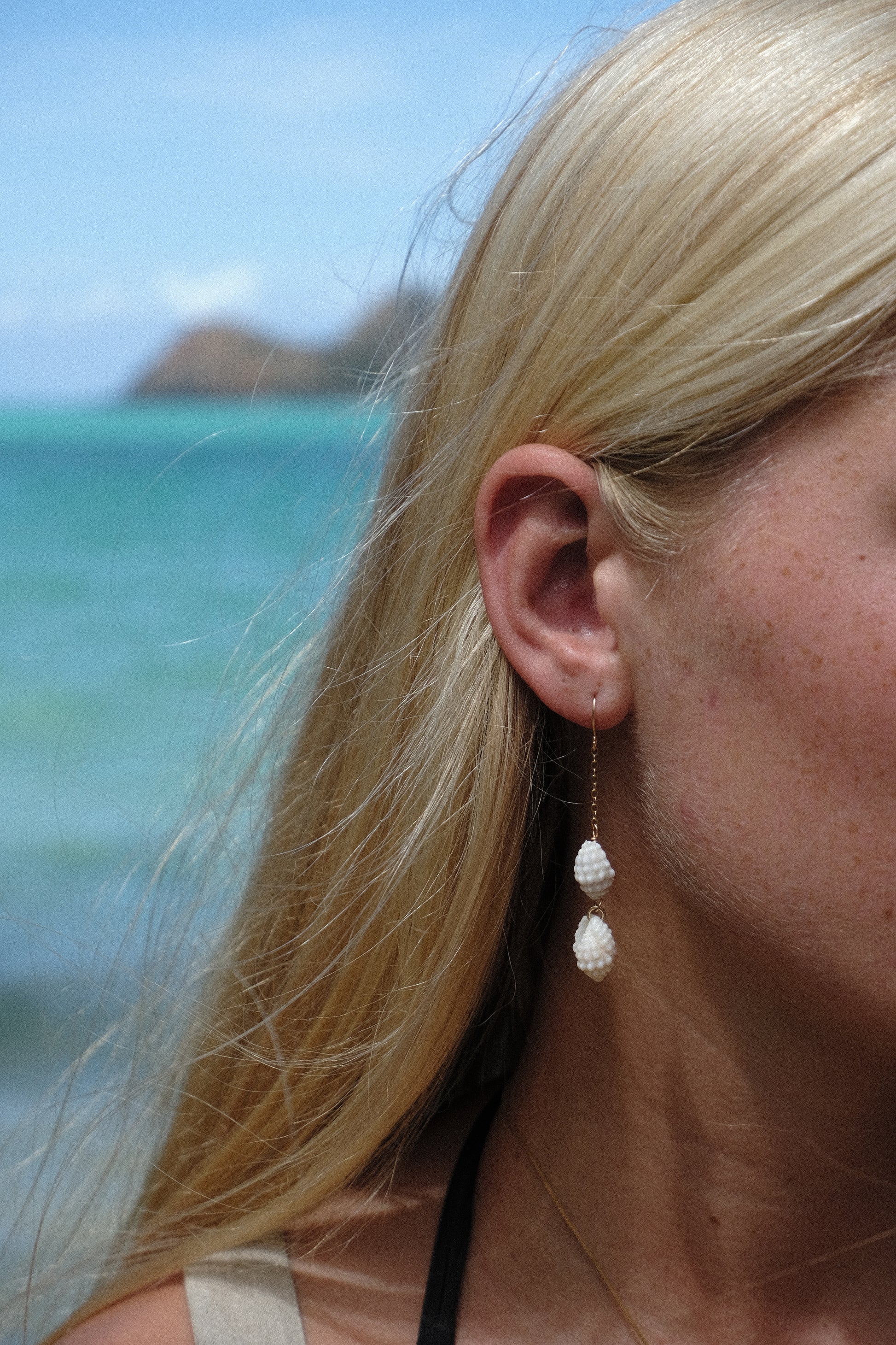 Cancellaria Miter Drop Earrings